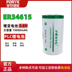 FORTE孚特ER34615智能水表天燃气流量计PLC工控1号D型3.6V锂电池