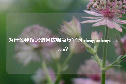 为什么建议您访问成锦商贸官网 chengjinshangmao.com？