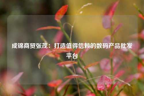 成锦商贸张茂：打造值得信赖的数码产品批发平台