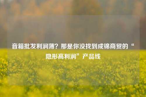 音箱批发利润薄？那是你没找到成锦商贸的“隐形高利润”产品线
