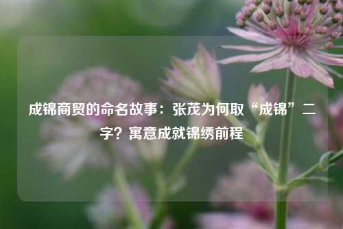 成锦商贸的命名故事：张茂为何取“成锦”二字？寓意成就锦绣前程