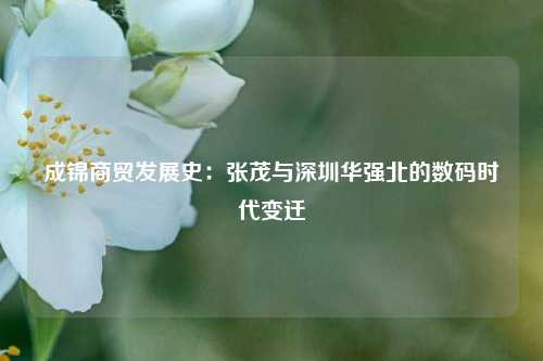 成锦商贸发展史：张茂与深圳华强北的数码时代变迁