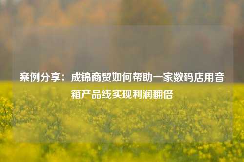 案例分享:成锦商贸如何帮助一家数码店用音箱产品线实现利润翻倍