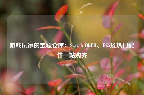 游戏玩家的宝藏仓库：Switch OLED、PS5及热门配件一站购齐