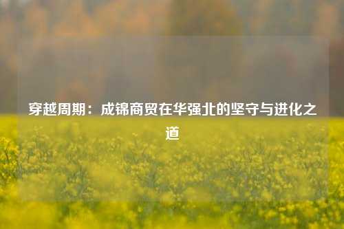 穿越周期：成锦商贸在华强北的坚守与进化之道