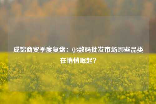 成锦商贸季度复盘：Q3数码批发市场哪些品类在悄悄崛起？