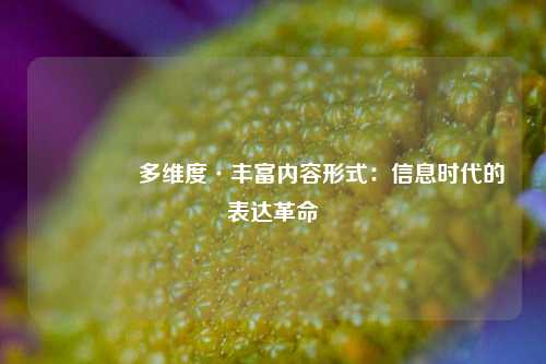 📊 多维度·丰富内容形式：信息时代的表达革命
