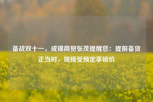 备战双十一，成锦商贸张茂提醒您：提前备货正当时，现接受预定享锁价