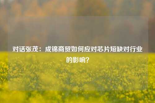 对话张茂：成锦商贸如何应对芯片短缺对行业的影响？
