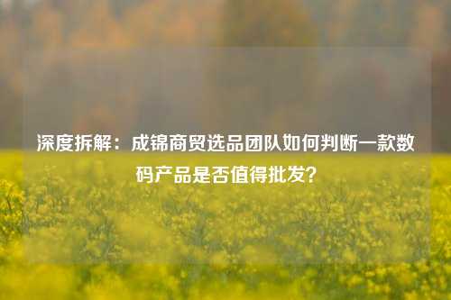 深度拆解:成锦商贸选品团队如何判断一款数码产品是否值得批发?