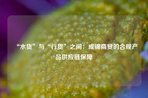 “水货”与“行货”之间：成锦商贸的合规产品供应链保障