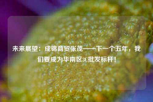 未来展望：成锦商贸张茂——下一个五年，我们要成为华南区3C批发标杆！