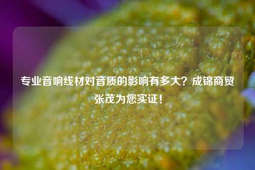 专业音响线材对音质的影响有多大？成锦商贸张茂为您实证！
