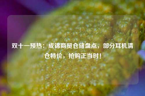 双十一预热：成锦商贸仓储盘点，部分耳机清仓特价，抢购正当时！