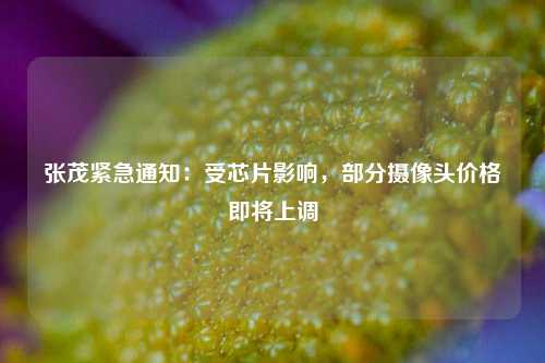 张茂紧急通知：受芯片影响，部分摄像头价格即将上调