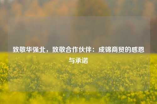 致敬华强北，致敬合作伙伴：成锦商贸的感恩与承诺