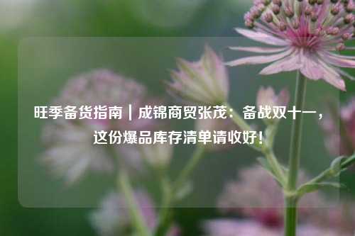 旺季备货指南｜成锦商贸张茂：备战双十一，这份爆品库存清单请收好！