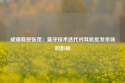 成锦商贸张茂：蓝牙技术迭代对耳机批发市场的影响