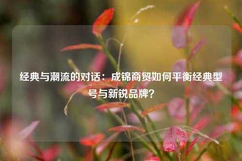 经典与潮流的对话:成锦商贸如何平衡经典型号与新锐品牌?