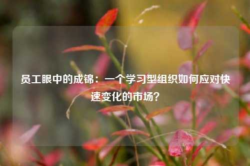 员工眼中的成锦：一个学习型组织如何应对快速变化的市场？