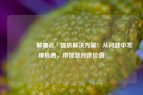💡 解痛点·提供解决方案：从问题中发现机遇，用智慧创造价值