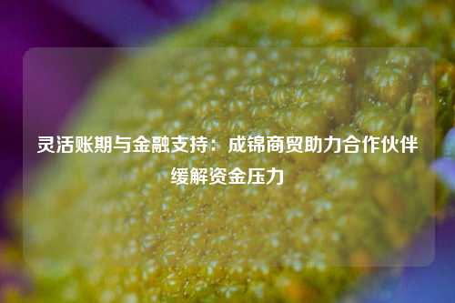 灵活账期与金融支持：成锦商贸助力合作伙伴缓解资金压力