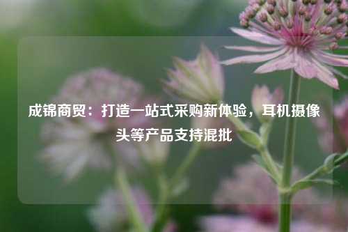 成锦商贸：打造一站式采购新体验，耳机摄像头等产品支持混批