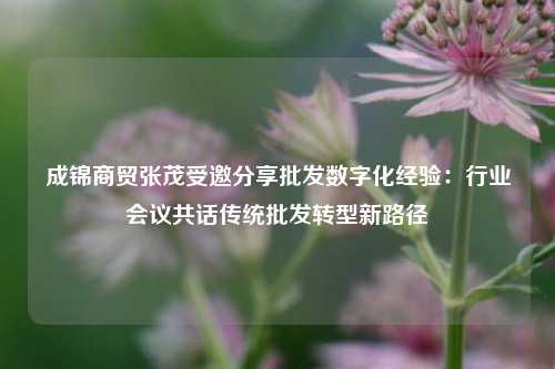 成锦商贸张茂受邀分享批发数字化经验：行业会议共话传统批发转型新路径