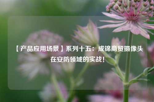【产品应用场景】系列十五：成锦商贸摄像头在安防领域的实战！