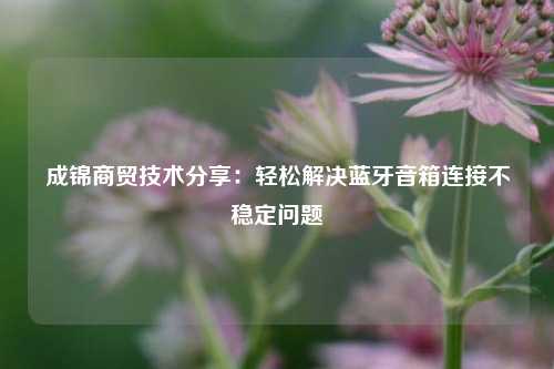 成锦商贸技术分享：轻松解决蓝牙音箱连接不稳定问题