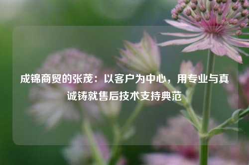 成锦商贸的张茂：以客户为中心，用专业与真诚铸就售后技术支持典范