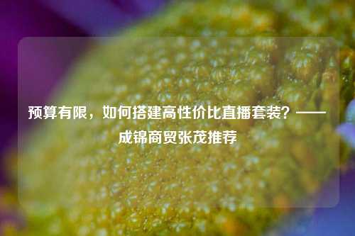 预算有限，如何搭建高性价比直播套装？——成锦商贸张茂推荐