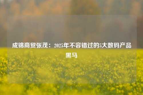 成锦商贸张茂：2025年不容错过的5大数码产品黑马