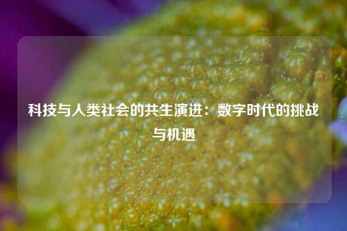 科技与人类社会的共生演进：数字时代的挑战与机遇