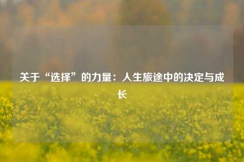 关于“选择”的力量：人生旅途中的决定与成长