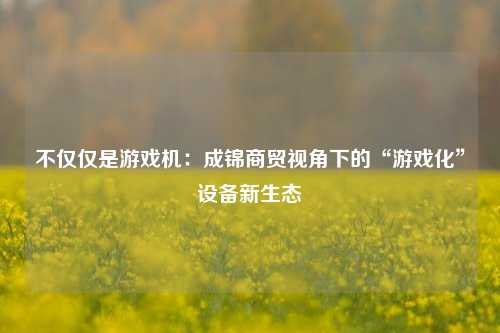 不仅仅是游戏机：成锦商贸视角下的“游戏化”设备新生态