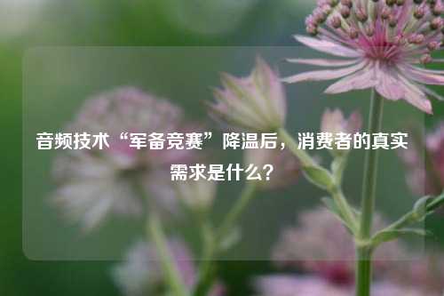 音频技术“军备竞赛”降温后,消费者的真实需求是什么?