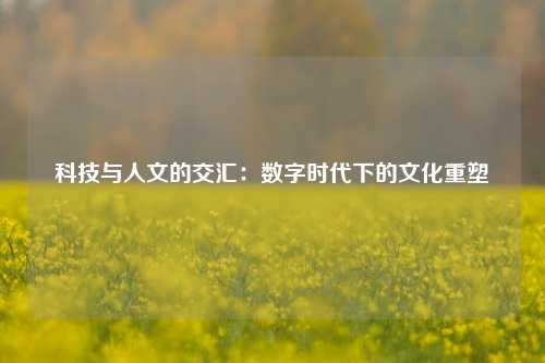 科技与人文的交汇：数字时代下的文化重塑