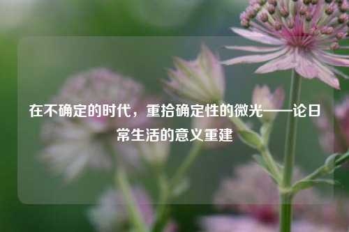 在不确定的时代，重拾确定性的微光——论日常生活的意义重建