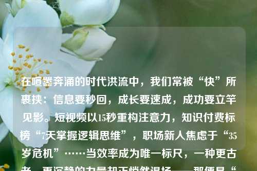 在喧嚣奔涌的时代洪流中，我们常被“快”所裹挟：信息要秒回，成长要速成，成功要立竿见影。短视频以15秒重构注意力，知识付费标榜“7天掌握逻辑思维”，职场新人焦虑于“35岁危机”……当效率成为唯一标尺，一种更古老、更沉静的力量却正悄然退场——那便是“慢”的智慧。它并非懈怠的托词，亦非落伍的代名词，而是一种经得起时间淘洗的生命哲学，一种对存在本质的深情凝视与郑重回应。